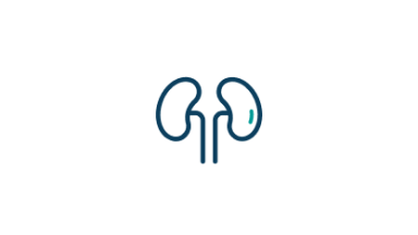 kidneys icon