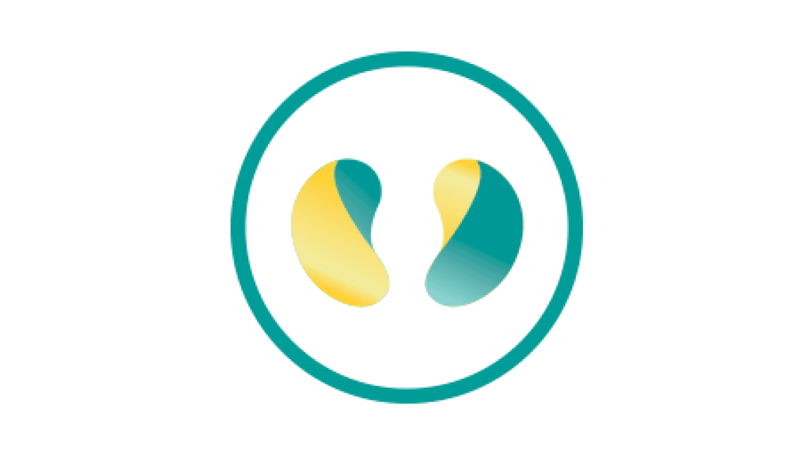 Chronic Kidney Disease Icon