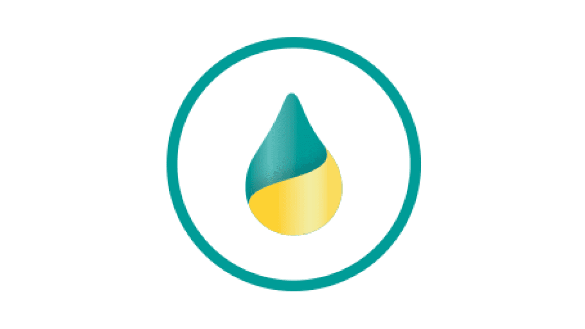 Type 2 Diabetes (T2D) Icon